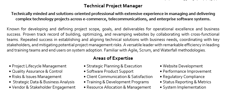 resume summary for the technical project manager.